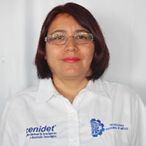 CP. Erika Y Bahena Flores
